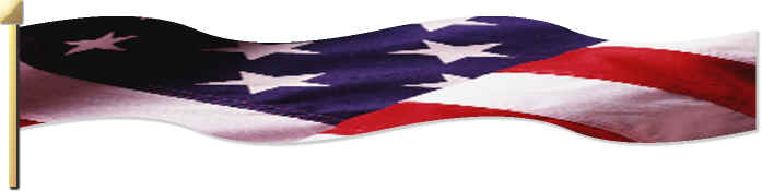flag banner.jpg (11288 bytes)